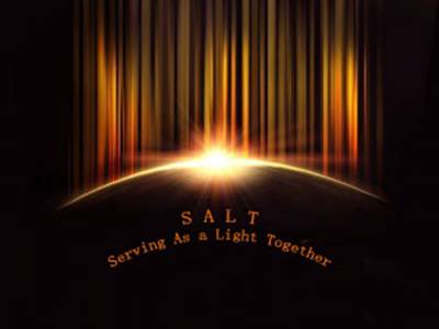 SALT logo
